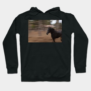 Run Horse Run Hoodie